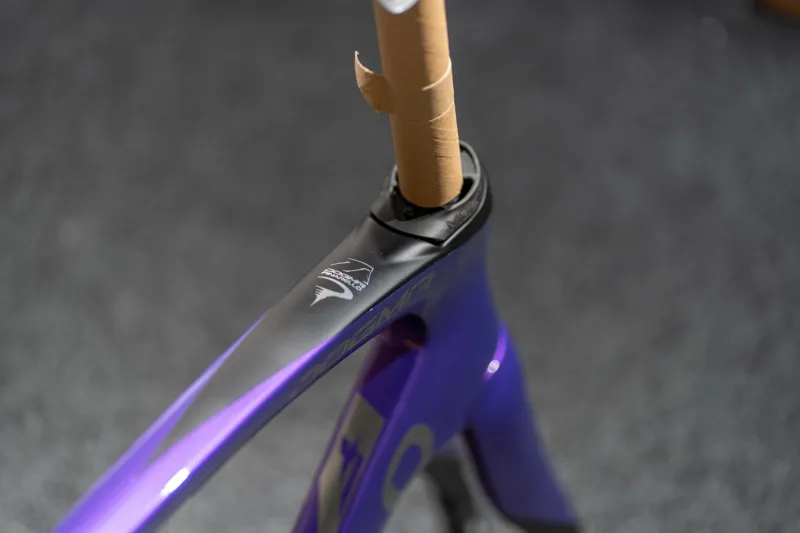 Pinarello Dogma F Disc framset Electro Violet-4