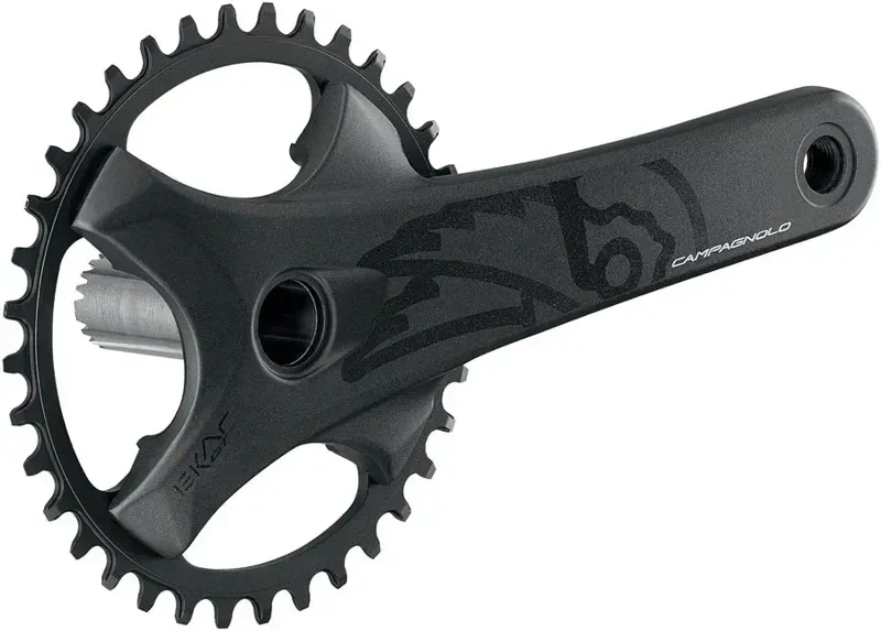 Ekar GT 13x Chainset 175mm -1
