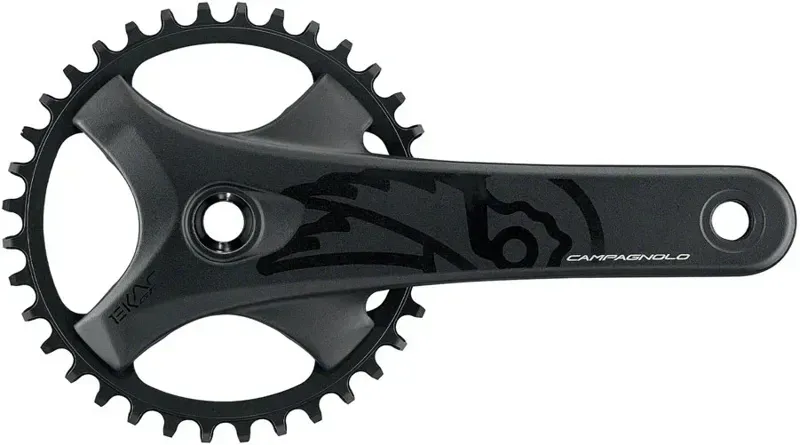 Ekar GT 13x Chainset 175mm 